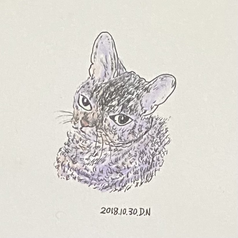 中川大作さんの写真
